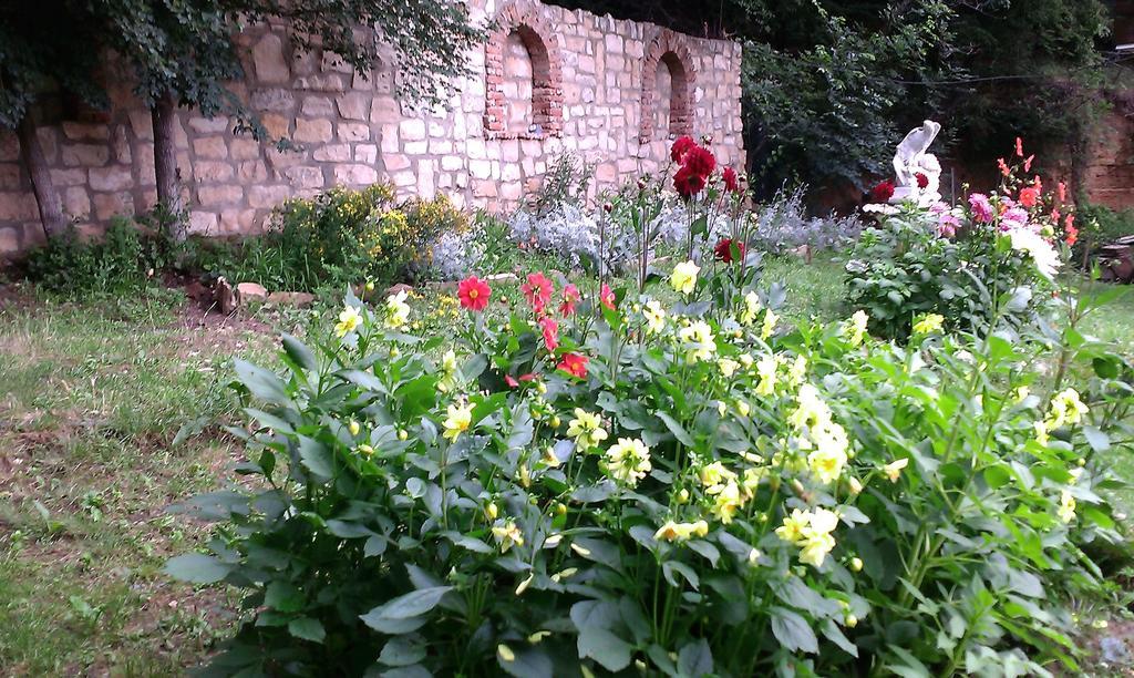 Villa Nasco غولدن ساندز المظهر الخارجي الصورة