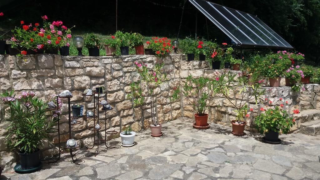 Villa Nasco غولدن ساندز المظهر الخارجي الصورة