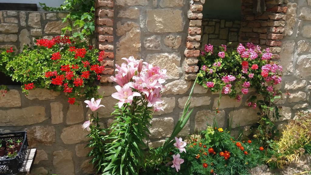 Villa Nasco غولدن ساندز المظهر الخارجي الصورة