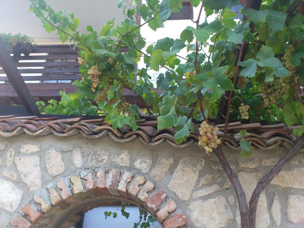 Villa Nasco غولدن ساندز المظهر الخارجي الصورة