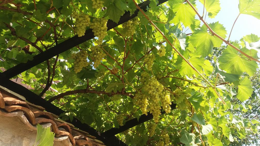 Villa Nasco غولدن ساندز المظهر الخارجي الصورة